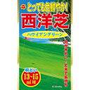 とっても色鮮やか 西洋芝 ハワイアングリーン 800ml アタリヤ農園 芝 種 芝 種子 芝生 種 芝生 種子 芝生の種 芝の種 西洋芝 種 西洋芝 種子 西洋芝の種