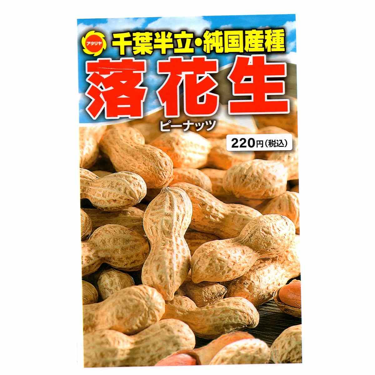 Rakuten - アタリヤ農園 野菜種 落花生 野菜 種子 野菜の種