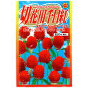 切花用千日紅 ストロベリーフィールド アタリヤ農園 千日紅 種 センニチコウ 種 千日紅 種子 花種 M