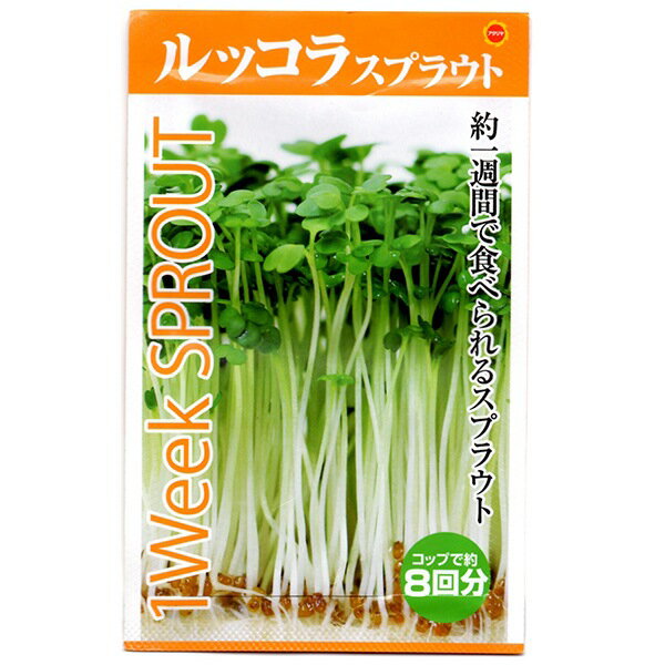 Rakuten - ルッコラスプラウト アタリヤ農園 1Week SPROUT 約一週間で食べられる 野菜種 野菜 種子 野菜の種