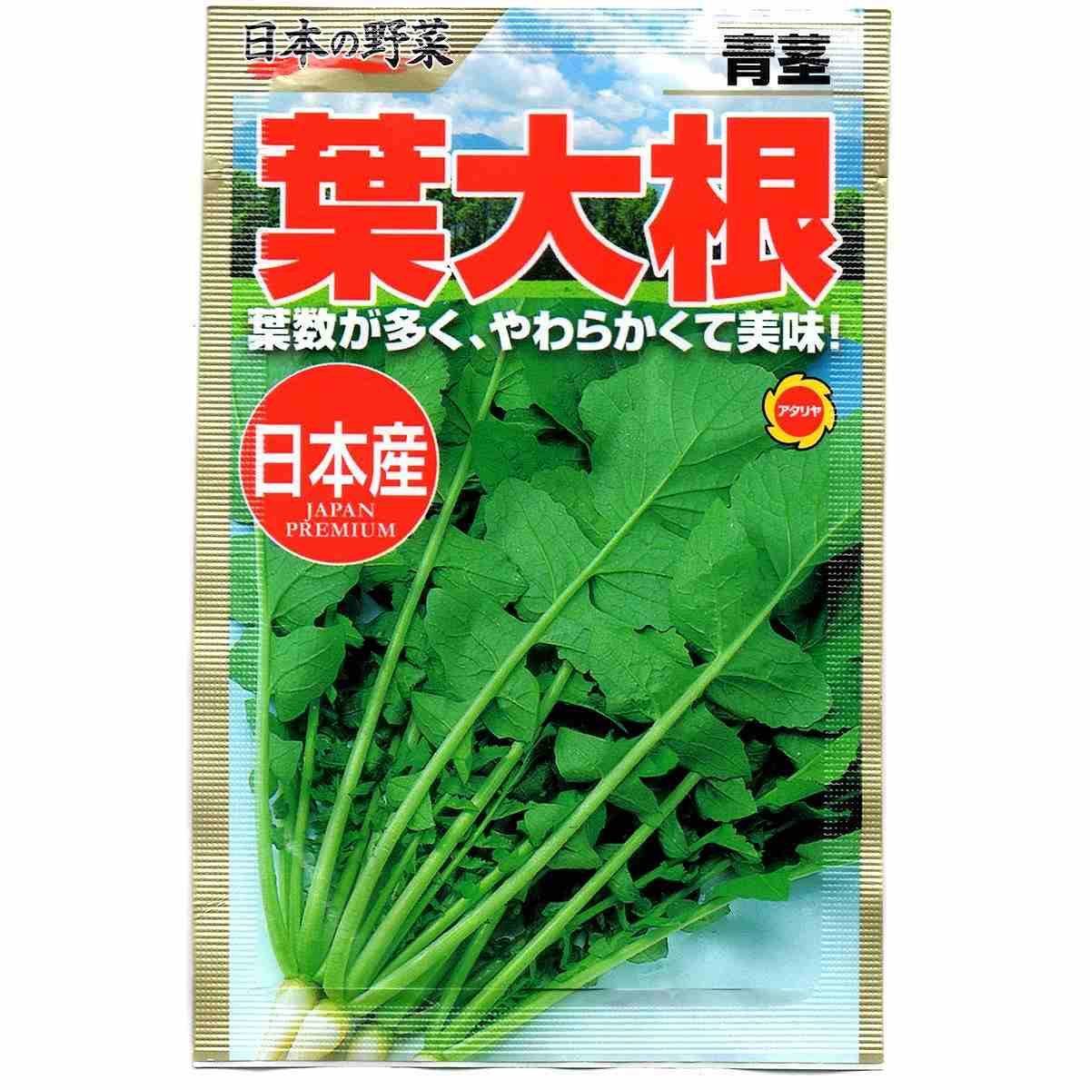 Rakuten - 日本の野菜 青茎 葉大根 アタリヤ農園 葉数が多く やわらかで美味 野菜種 野菜 種子 野菜の種