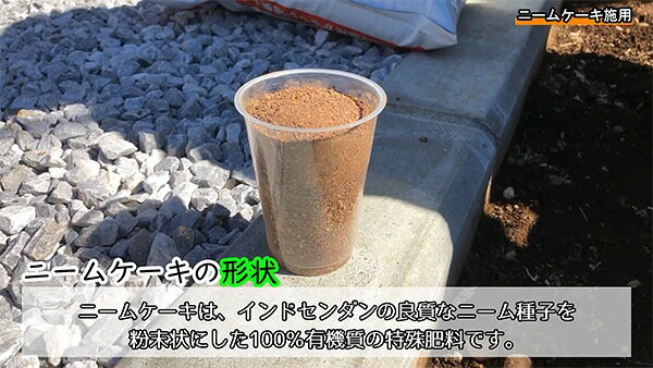 ニームケーキ ダイコー 土壌改良剤 ダイコーニーム 植物性土壌改良剤 粉末 土壌改...