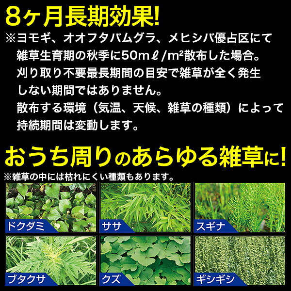 除草剤 カダン 除草王シリーズプロ 除草王シャワーS パウチタイプ 4.5L フマキラー...