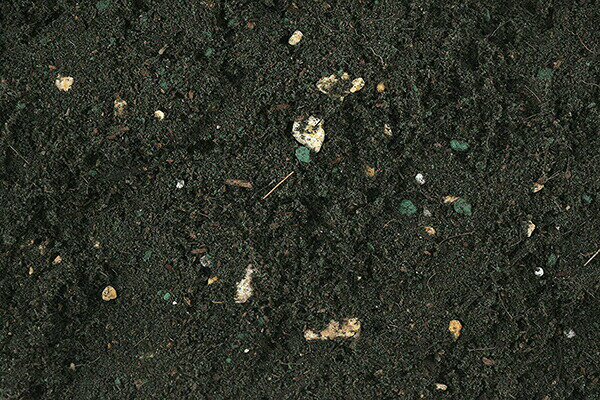 ���տ�ʪ �� ����٥�����ݤ��� 5L �֤����� ������ ���տ�ʪ ������ �� ������ ���տ�ʪ �� �� �� ���տ�ʪ���� �֤��� ������ ���� ������� ������� ��