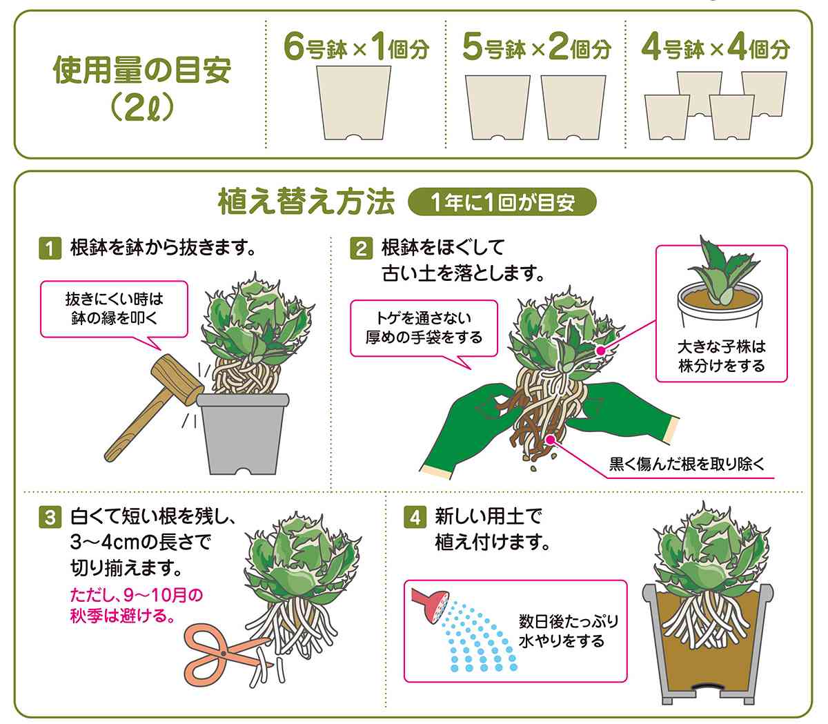 用土 アガベの土 2L 花ごころ 培養土 アガベ 培養土 アガベ 用土 アガベ 土 アガベ...