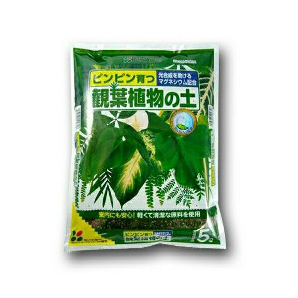 培養土 観葉植物の土 5L 花ごころ 培養土 観葉植物 土 観葉植物 培養土 観葉植物 園芸用土 観葉植物土 室内 園芸 観葉 土 室内園芸 土 観葉植物 植替え 土