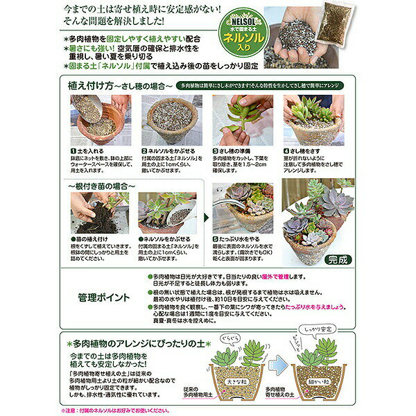 多肉植物寄せ植えの土 5L 花ごころ 培養土 多肉植物の土 多肉植物 土 多肉植物 用...