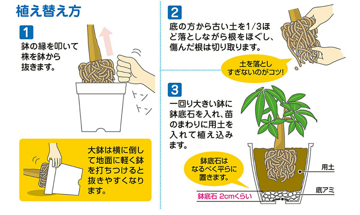 ���줤��ȭ���� 10L��6�� �֤����� ȭ���� ���� ȭ���� ȭ ȭ���� �ץ�󥿡� ȭ���� ������� ȭ���� �����ڱ� ȭ���� ��� ȭ���� �ۥ磻�ȥ��ȡ��� �͹� ����