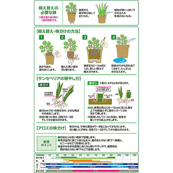 サンセベリア金のなる木アロエの土 3L 花ごころ 培養土 サンセベリア 土 金のなる...