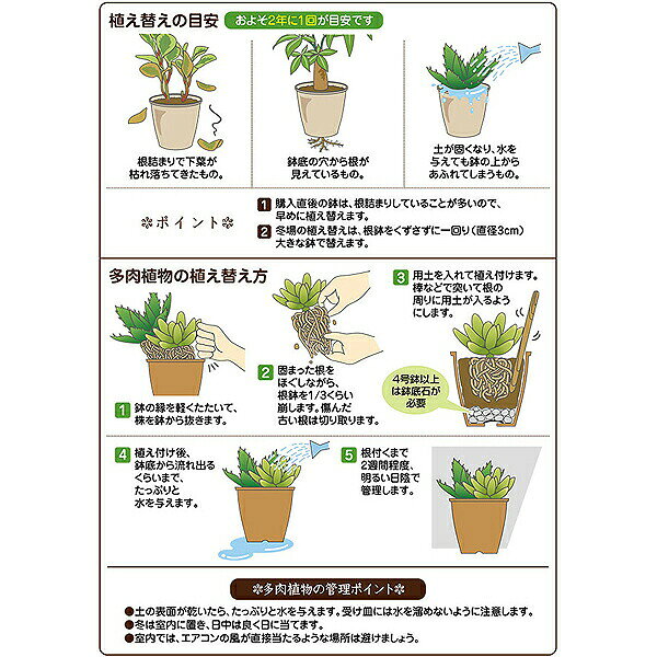 観葉植物 土 多肉植物＆ミニ観葉の土 1L 花ごころ 培養土 多肉植物 土 観葉植物の...