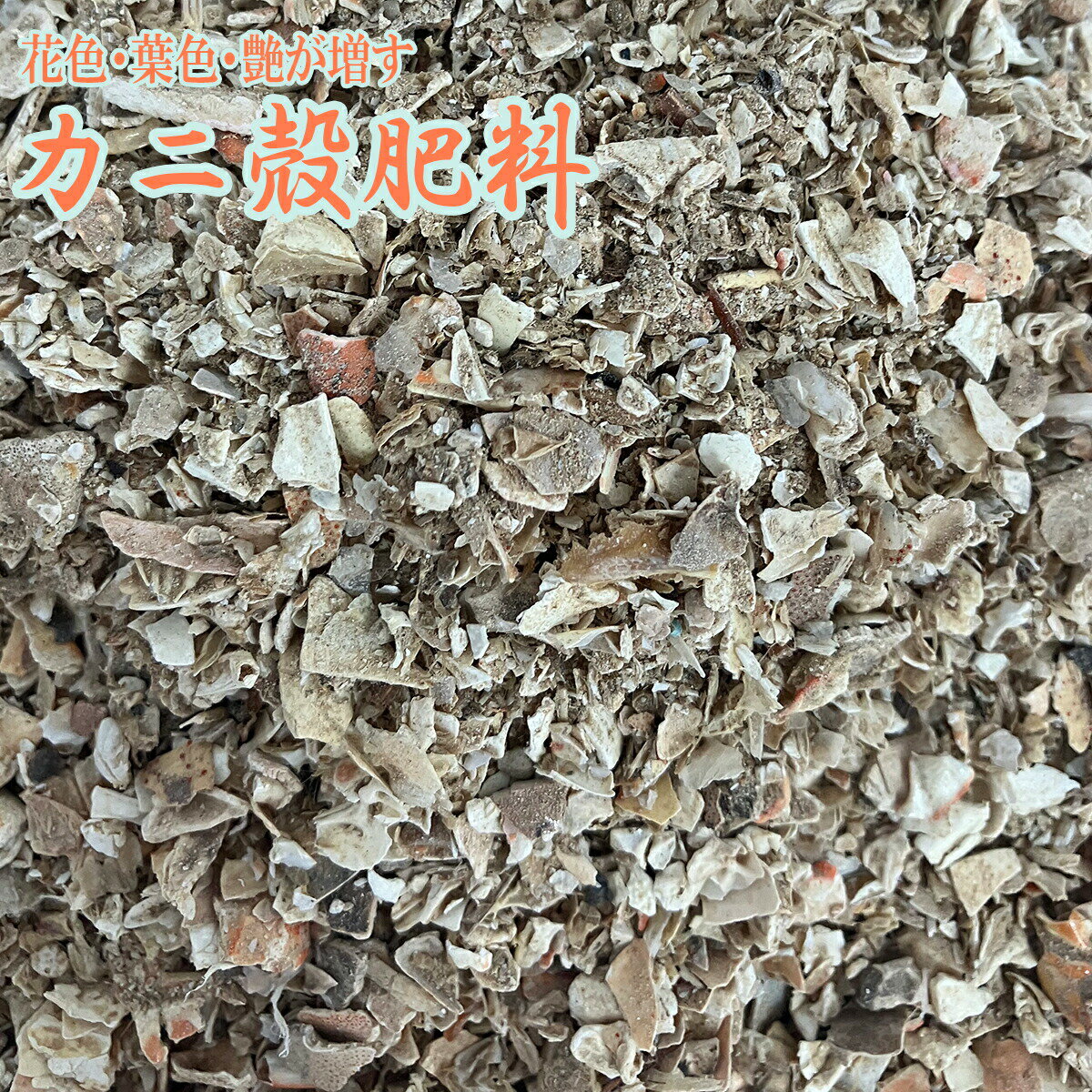 肥料 カニ殻肥料 10kg 肥料 バラ 肥料 カニ殻 肥料 10kg 業務用 肥料 植物 肥料 有機肥料 バラ 有機肥料 バラ肥料 バラの肥料 蟹殻 粉末肥料