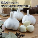 予約販売品 25年8月中旬より出荷予定 青森産 ホワイト6片にんにく 20kg サイズ無差別 混み玉 ニンニク栽培 生産者 徳用 にんにく ホワイト 球根