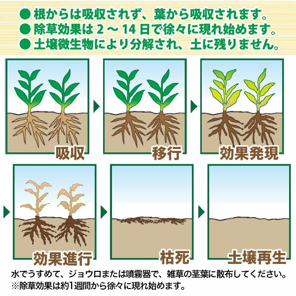 除草剤 グリホエースPRO 500ml ハート 除草剤 グリホサート 除草剤 除草剤 強力 業務用 除草剤 液体 除草剤 グリホエース 除草剤 農薬登録品 雑草防除 雑草対策