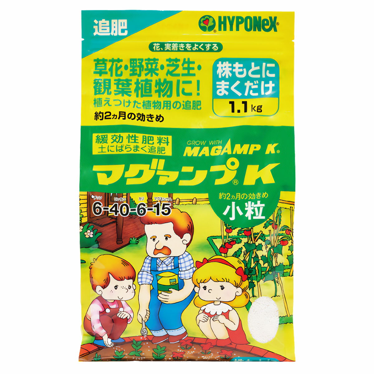 特長マグァンプKの一粒の中には、水に溶ける成分と水に溶けない成分(根から出る酸や微生物などの働きで溶ける有効成分)が含まれています。1.まず水に溶ける成分が水やりなどで溶け出します。2.まわりの土に栄養がいきわたると、ムダな栄養分の流出が止まります。3.次に溶けない成分が土の中の微生物や、根から出る酸などによってゆっくり溶け出します。だから、土に1回混ぜ込むだけで長く効き、植物に対する安全性が高いので、直接根にふれても肥料やけの心配も少なく、与えすぎの害もほとんどありません。・株元にばらまくタイプの追肥。約2ヵ月間の効きめ。・すでに植わっている植物の株元にばらまくだけで、肥料成分がゆっくり溶け、根にやさしく根の張りを良くします。・リンサン効果で丈夫な根をつくり、花・実つきを良くします。・草花・野菜の種まき、苗づくりの元肥としても最適です。N-P-K-Mg＝6-40-6-15 マグネシウム配合使用法【追肥】土にばらまきます。適用作物草花、鉢花、球根、観葉植物、野菜、芝生、グランドカバーなど※寄せ植えは、使用量の半量をお使いください。※植物や土、育て方などの条件により効きめの期間が異なります。※マグァンプKには中粒（約半年から1年間の効きめ）と、大粒（約1年から2年間の効きめ）もあります。植物や使用用途に合わせてお使いください。検索ワード：ハイポネックス マグアンプK MAGAMP HYPONeX 肥料 野菜 肥料 芝生 肥料 花 肥料 草花 肥料 バラ 肥料 バラの肥料 芝生の肥料 化成肥料 野菜肥料 緩効性肥料 肥料 ガーデニング 肥料 園芸 肥料 ハイポネックス マグァンプK 粒状 肥料 マグァンプK 粒状肥料 薔薇の肥料
