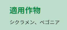 肥料 キュート そのまま使える シクラメン・ベゴニア用 150ml ハイポネックス 肥料...