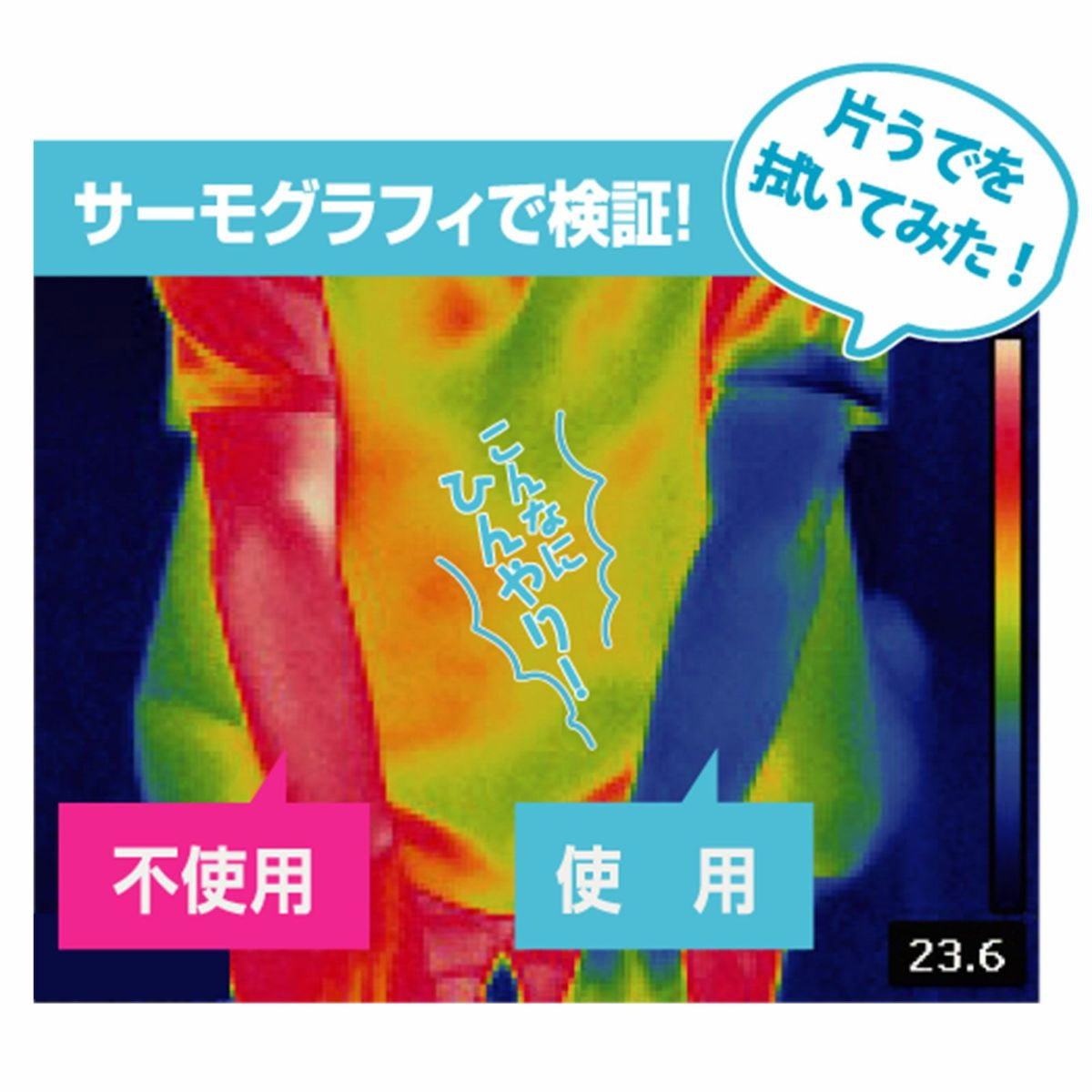 まとめ買い 48パック入 北のかおり ひんやりふくだけシャワー 10枚入 北見ハッカ通...