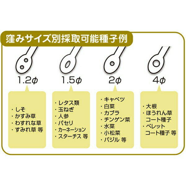 ��ޤ����ס��� �ڤ��ͥ��� ���ͥ����� �������� �����ʼ�ΤĤּ����ڡ� ��ޤ��ġ��� M6