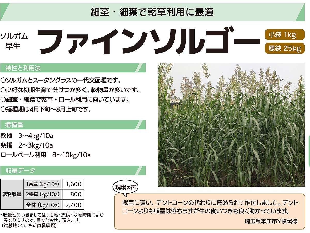 ���륬�� �ե����󥽥르�� 20kg (1kg��20��) ���ͥ����� ���� �� ���� ��� ���르�� �� ���르�� ��� ���� ��̳�� ��� ���� ��̳�� �� ���르���μ�