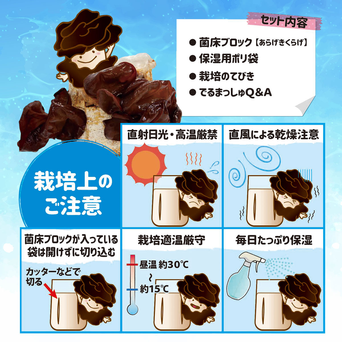 イーワイズの菌床キノコ 栽培セット 夏 でるまっしゅ あらげきくらげ ×2個 カネコ種苗 夏限定 アラゲキクラゲ 栽培キット 室内 きのこ 屋内 キノコ｜アングル3