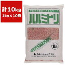 緑肥 ライムギ ハルミドリ 10kg (1kg×10袋) カネコ種苗 緑肥ライ麦 緑肥 ライ麦 緑肥 種 ライ麦 種 種子 ライ麦 種子 緑肥 種 緑肥 種子 麦 種 麦 種子