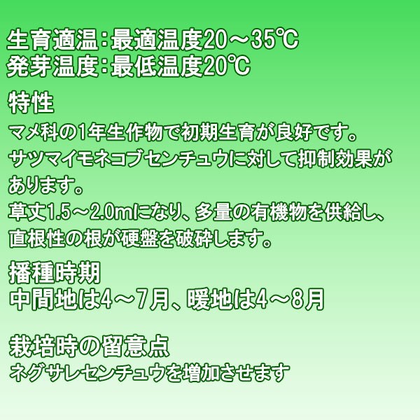 緑肥 クロタラリア ジュンセア 1kg×5袋 カネコ種苗 緑肥 種 緑肥 種子 緑肥 業務用...