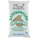 芝種 トールフェスク バーバリアン 5kg (1kg×5袋) カネコ種苗 芝種 芝 種 芝 種子 芝生 種 芝生 種子 芝の種 芝生の種 芝種 業務用 芝生 種子 業務用 牧草 種子