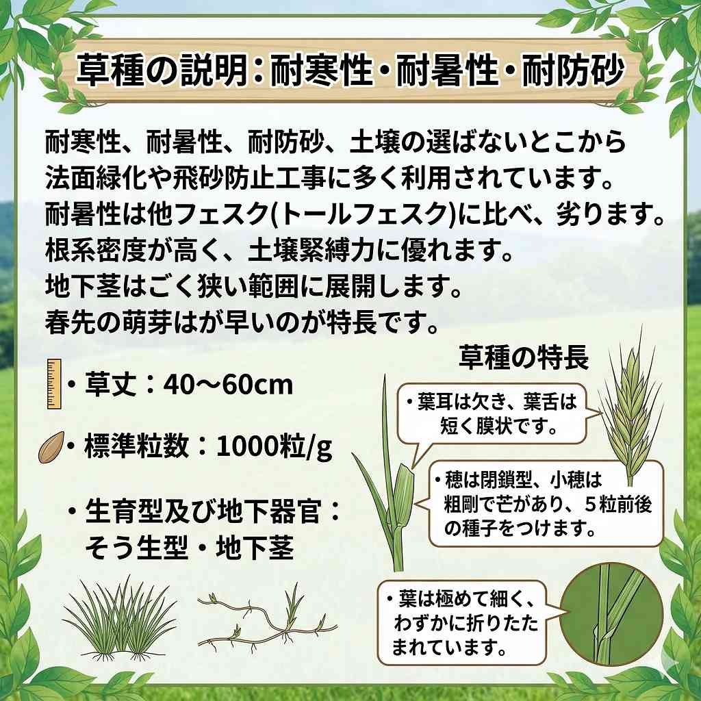 クリーピングレッドフェスク 10kg (1kg×10袋) カネコ種苗 芝 種 芝 種子 芝の種 芝...