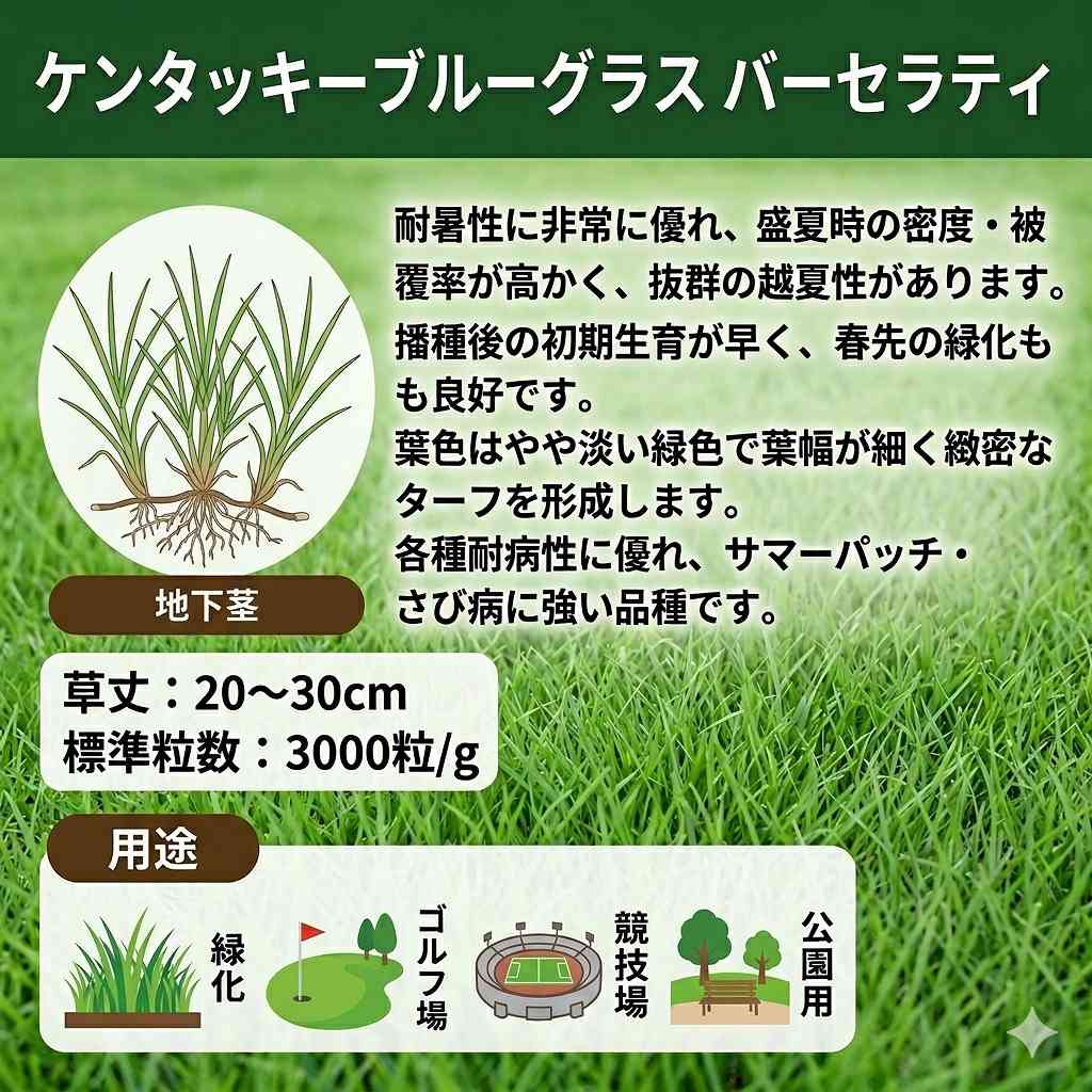 ケンタッキーブルーグラス バーセラティ 10kg (1kg×10袋) カネコ種苗 種 芝 種 芝...