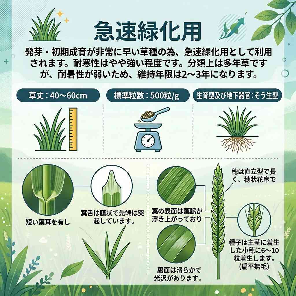 芝種 ペレニアルライグラス 5kg (1kg×5袋) カネコ種苗 芝種 芝 種 芝 種子 芝生 種...