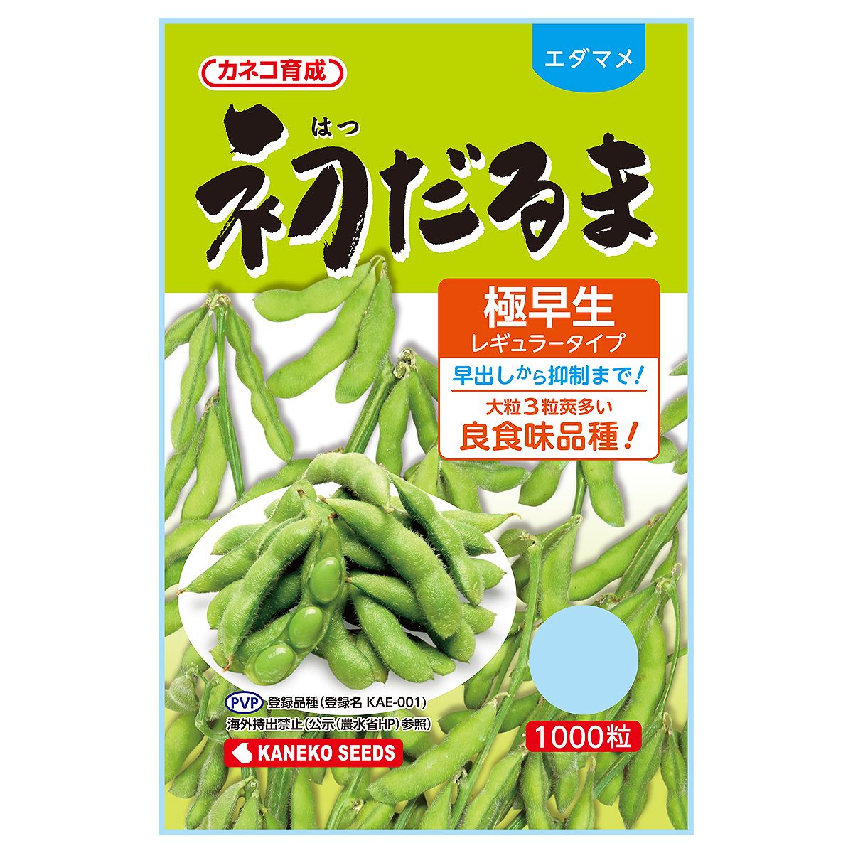 Rakuten - 大容量 営利種 エダマメ 初だるま 1000粒 カネコ育成 カネコ種苗 野菜種子 エダマメ種子 枝豆 種 極早生 枝豆 野菜 種 野菜 種子 野菜の種 野菜の種子 枝豆 種子