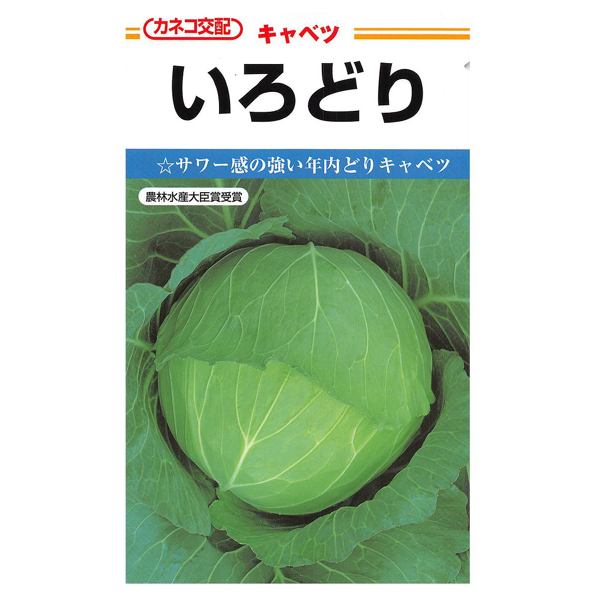 大容量 営利種 キャベツ いろどり ペレット5000粒 カネコ交配 カネコ種子 野菜種子 キャベツ種子 野菜種 種子 野菜 種 野菜 種子 キャベツ 種 野菜の種