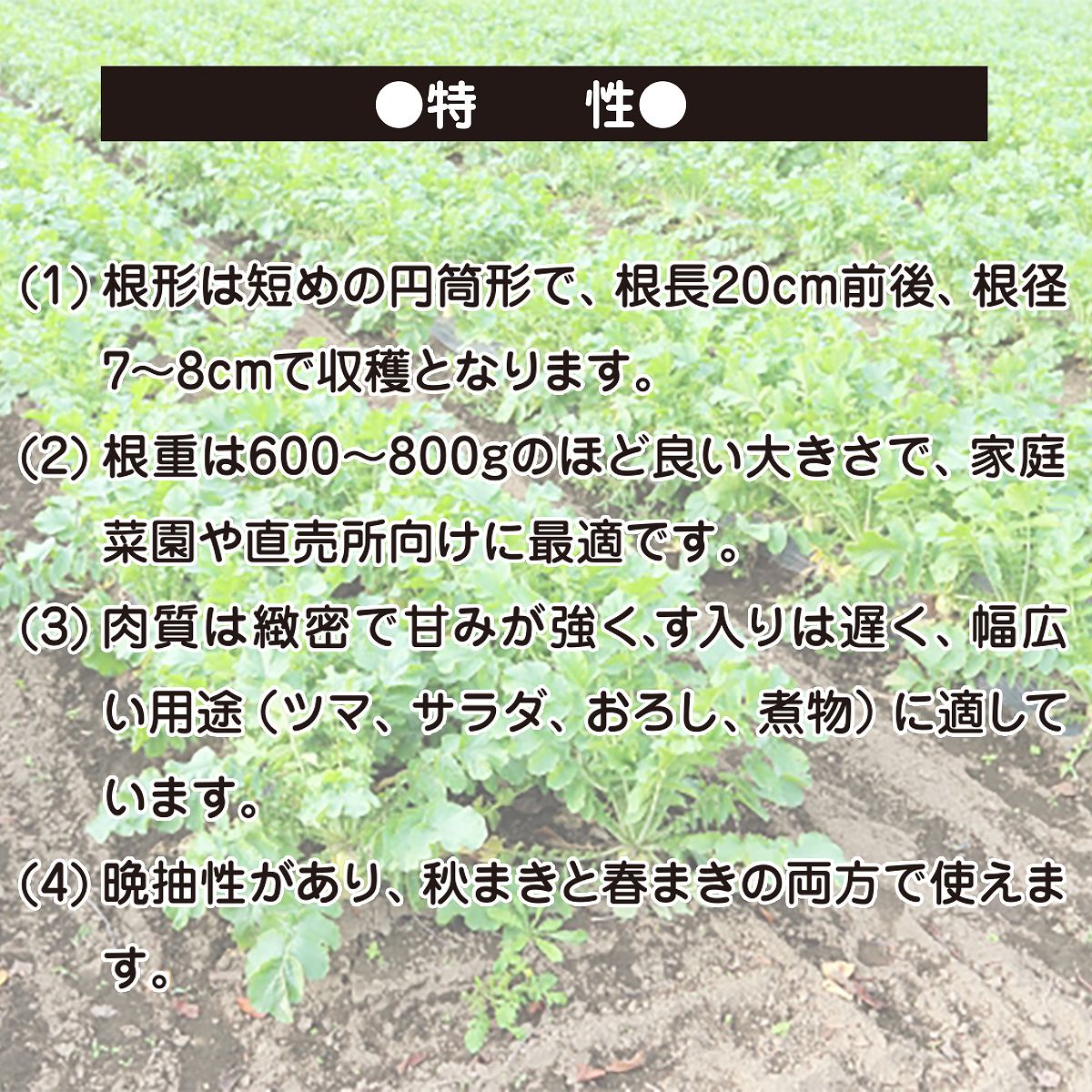 ������ ������ ���ͥ����� ̣û�� �������� 10000γ ���ͥ����� ��� �� �纬 ��� ��� �������� �� �纬�μ� ��ڼ� ��ڤμ� ��� �������� ��