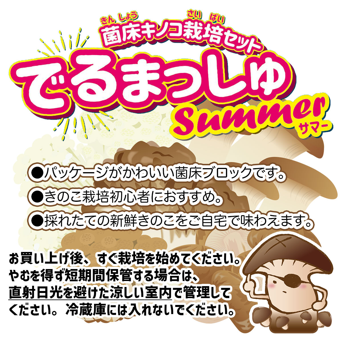 イーワイズの菌床キノコ 栽培セット 夏 でるまっしゅ あらげきくらげ ×2個 カネコ種苗 夏限定 アラゲキクラゲ 栽培キット 室内 きのこ 屋内 キノコ｜アングル2