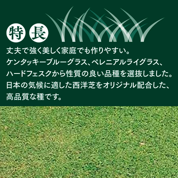 西洋芝のタネ J・ガーデングラス 1.5L×8袋 カネコ種苗 芝 種 芝 種子 芝の種 芝の...