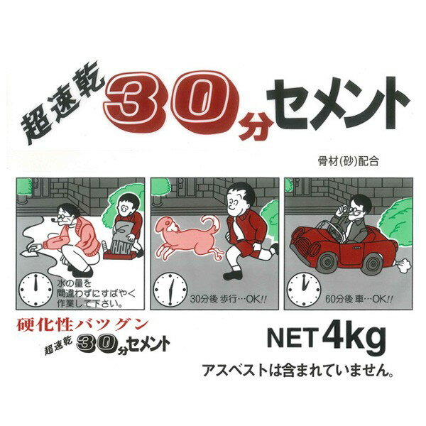 まとめ買い 6袋入 超速乾 30分セメント グレー 4kg 家庭化学 2