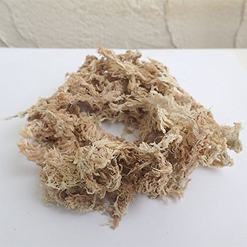 圧縮水苔 500g/40L 洋ラン 植替え シンビジウム 植替え 乾燥防止 観葉植物 乾燥防...