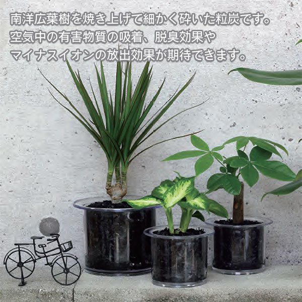 �ϥ��ɥ�������㡼����ú 2L ������� ���տ�ʪ ��̺��� ���տ�ʪ �ƥ�ꥦ�� �� �������ꥦ�� �� �ϥ��ɥ�������㡼 ���ؤ� ��ú æ�� ���� ���饹���