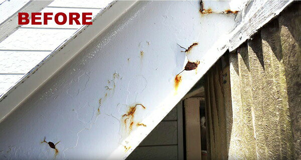 ���� �������ꥳ�󥿥ե��ץ졼 300ml ��å� �˥å� ���ץ졼���� ���ץ졼 �������� �ڥ� ���� ���ξ夫���ɤ������ ���ߤ� ���ѵ� ����