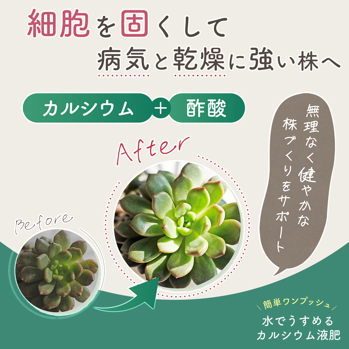 肥料 水でうすめるカルシウム液肥 150ml 日東エフシー 自然暮らし 肥料 観葉植物 ...