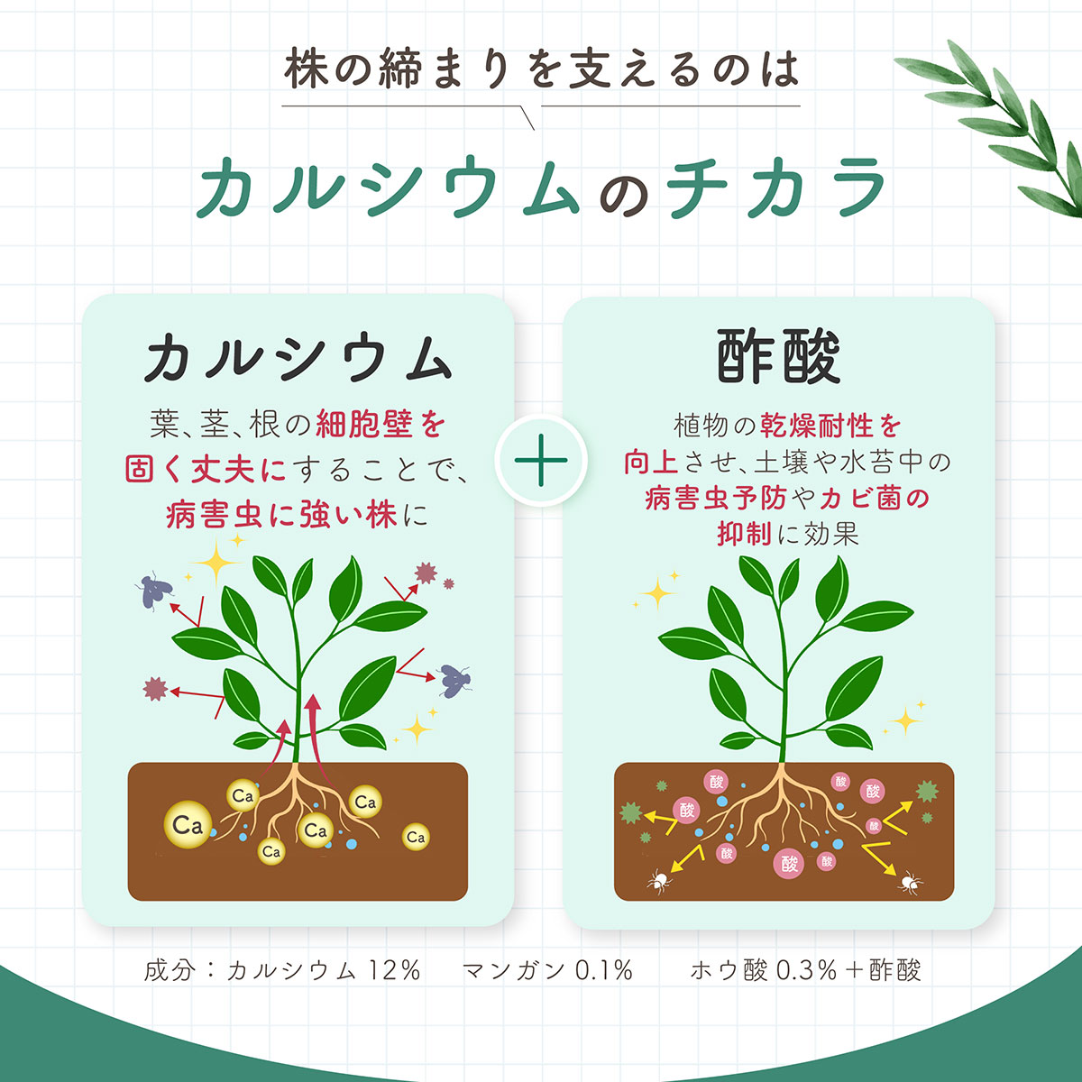 肥料 水でうすめるカルシウム液肥 150ml 日東エフシー 自然暮らし 肥料 観葉植物 ...