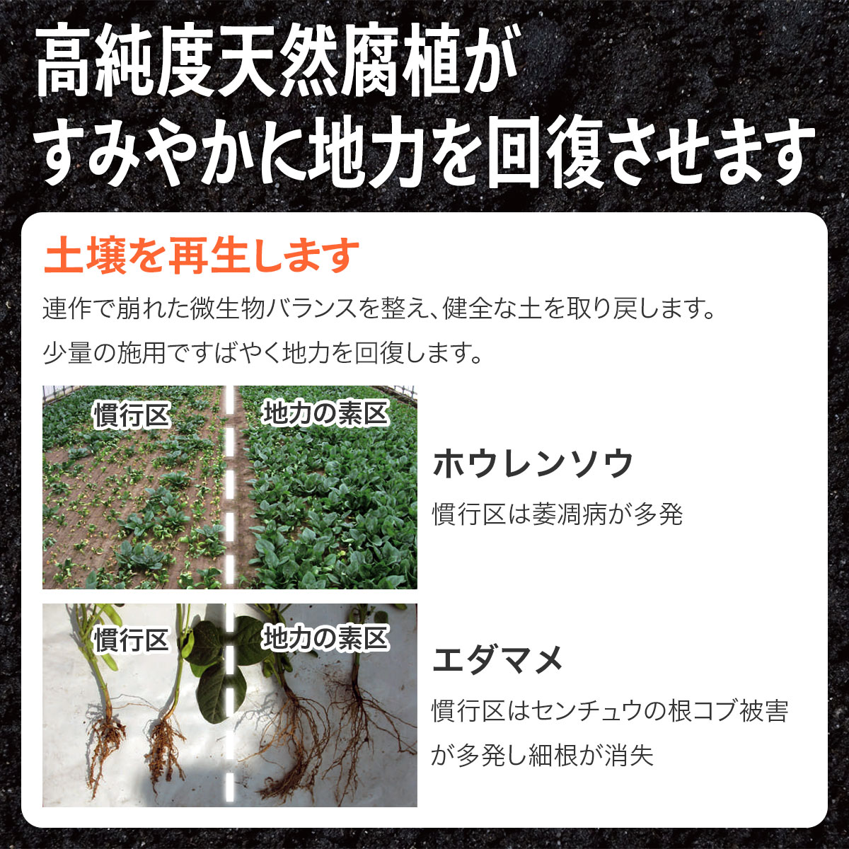 ���� ���Ϥ��� �ڥ�å����� 15kg �ե�ӥ� ���� ��� ���� ��� ���� 15kg ���� ��̳�� ���� ��� ���� �ھ����ɺ� �ե�ܻ� �忢�� ����ʪ��� �ھ����ɻ��