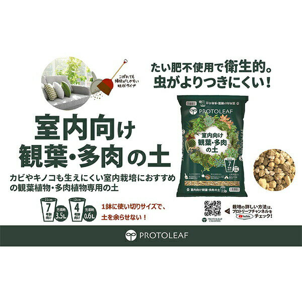室内向け観葉・多肉の土7号鉢用 3.5L プロトリーフ 培養土 観葉植物 培養土 多肉植...