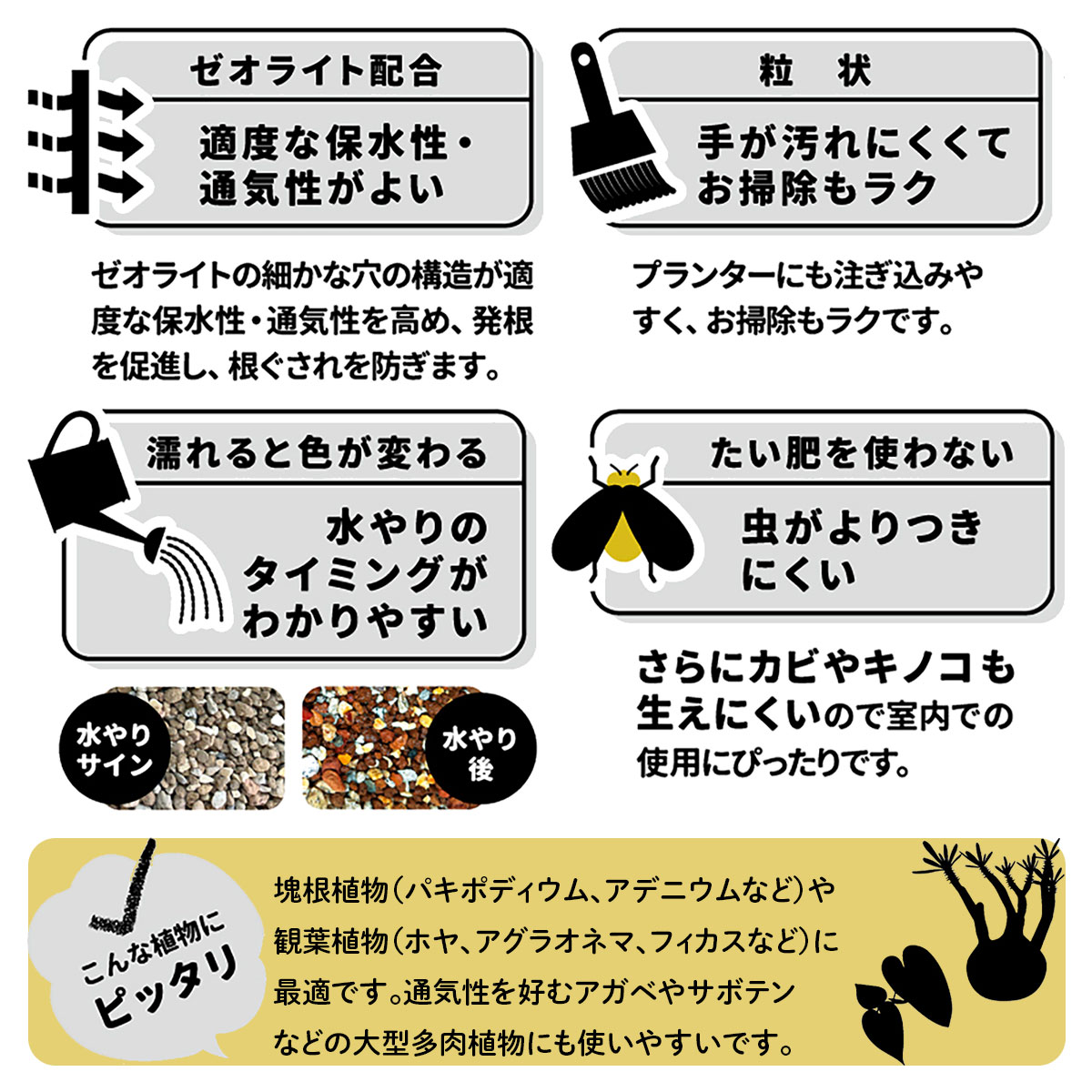 培養土 室内向け観葉・多肉の土 硬質 3.5L プレミアム プロトリーフ 観葉植物 土 ...