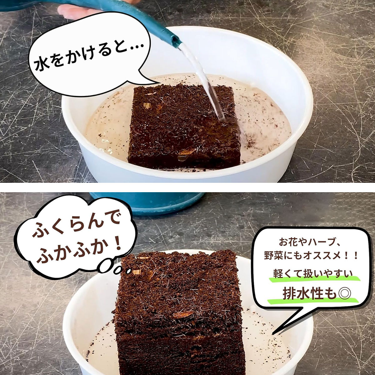 培養土 土ブロック 8L 復元ディスク プロトリーフ 肥料入 培養土 ココヤシ 培養土 ...