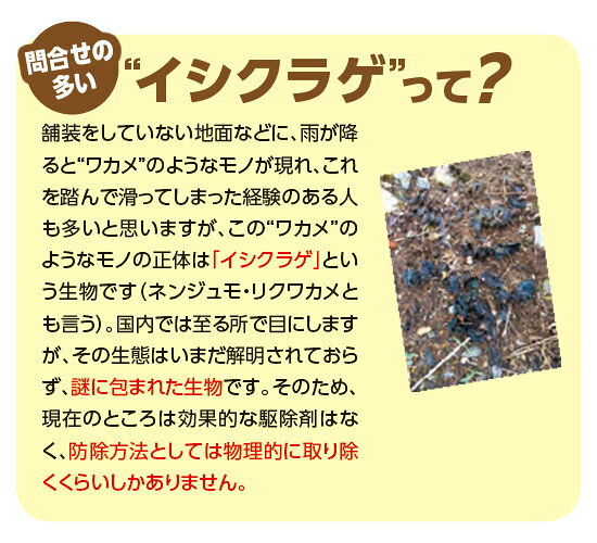 除草剤 コケレス粒剤 450g レインボー薬品 除草剤 顆粒 除草剤 粒剤 除草剤 強力 ...
