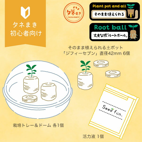 はじめてさんのかんたんタネまきキット サカタのタネ Seedfun タネまき初心者向け タネまき資材 ガーデン用品 2