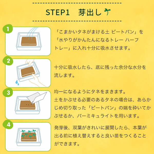タネからはじめるかんたん苗づくりキット サカタのタネ Seedfun 園芸経験者向け タ...