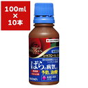 殺菌剤 マイローズ ST サプロール 乳剤 100ml×10本 KINCHO園芸 殺菌剤 サプロール 殺菌剤 バラ 殺菌剤 バラ 病気 予防 バラ 病気 治療 ...