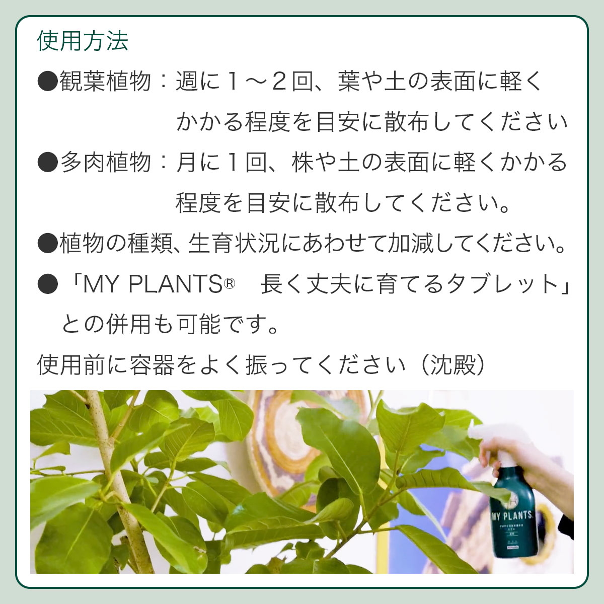���� MY PLANTS ���Ф䤯�������Ϥ���ߥ��� 250ml��10�� KINCHO��� ���� ���տ�ʪ ���� ¿����ʪ ���� ���� ���տ�ʪ ���� �������� ���տ�ʪ ��������