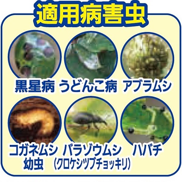 殺虫殺菌剤 マイローズ ベニカXガード粒剤 450g KINCHO園芸 殺虫剤 ベニカ 殺虫剤 ...
